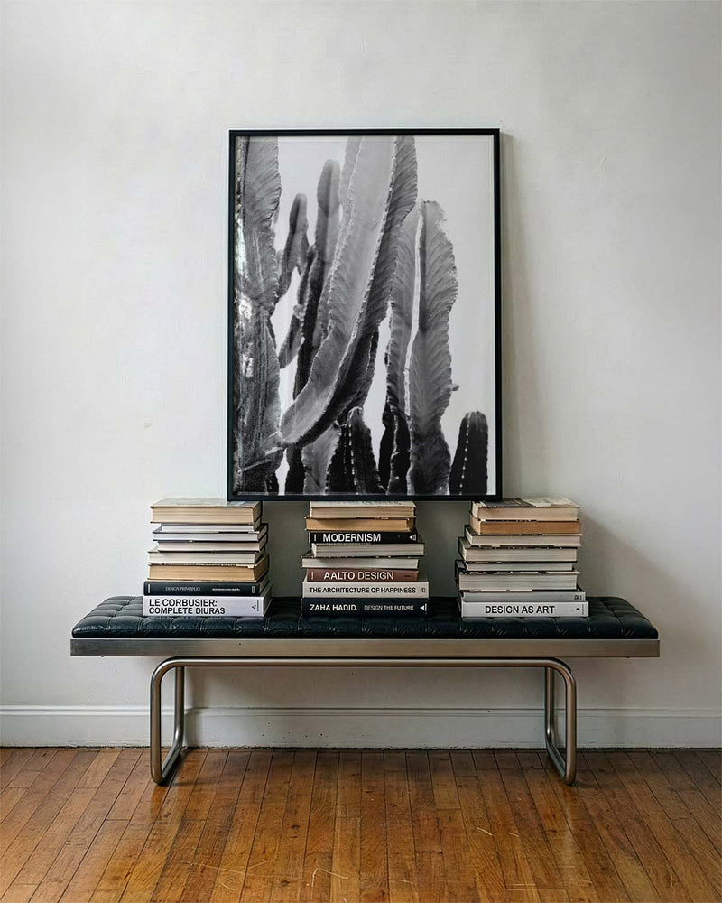 Schwarz Weiß Kaktus Poster – Black White Cactus