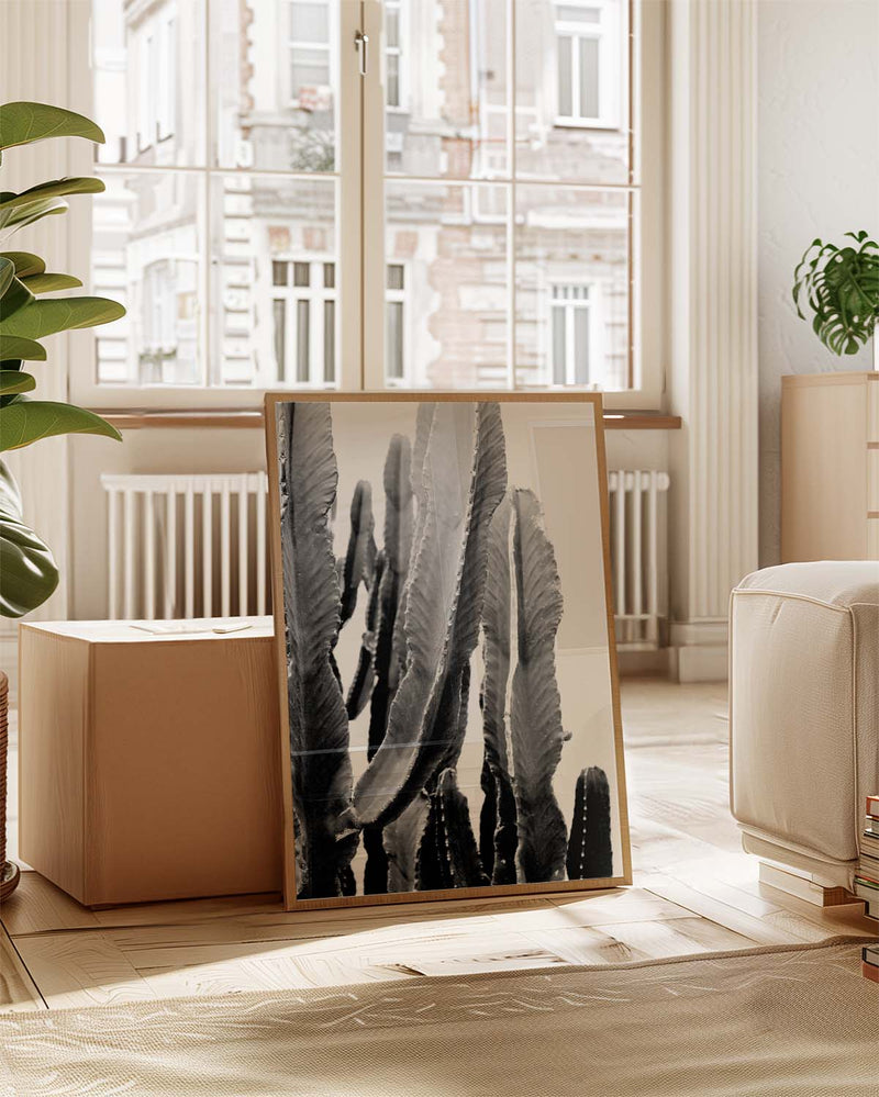Schwarz Weiß Kaktus Poster – Black White Cactus