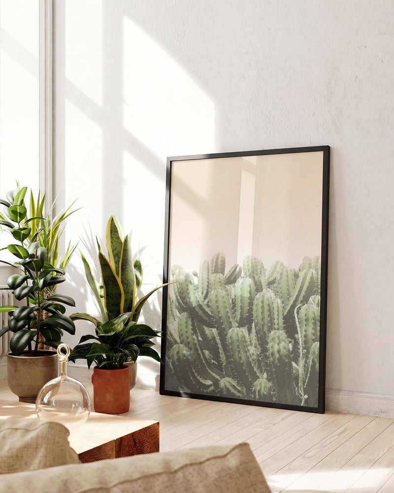 Grünes Kaktus Poster – Soft Green Cactus Field