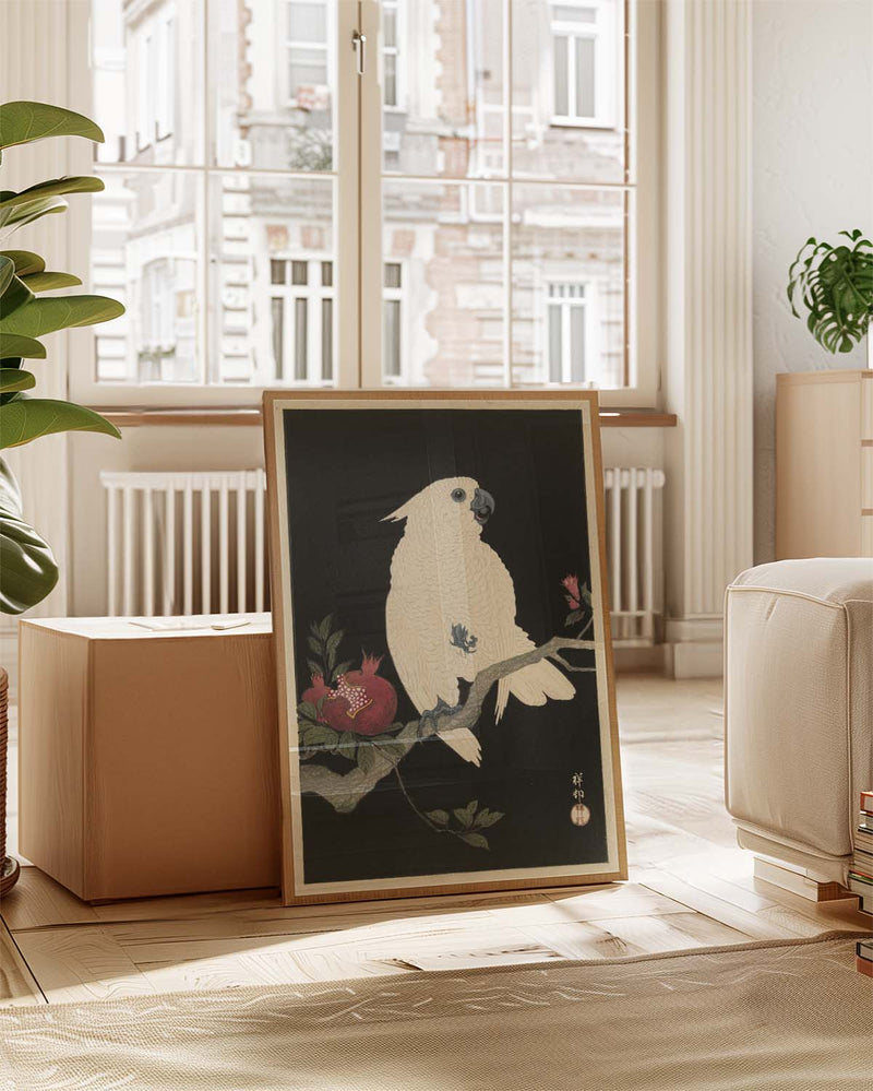 Vogel Poster Nacht modern – White Bird Night