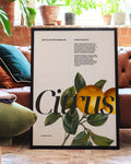 Citrus | Modernes Botanical-Poster