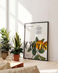 Citrus | Modernes Botanical-Poster