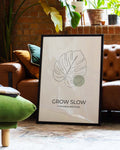 Monstera Dekorationsposter – Grow Slow