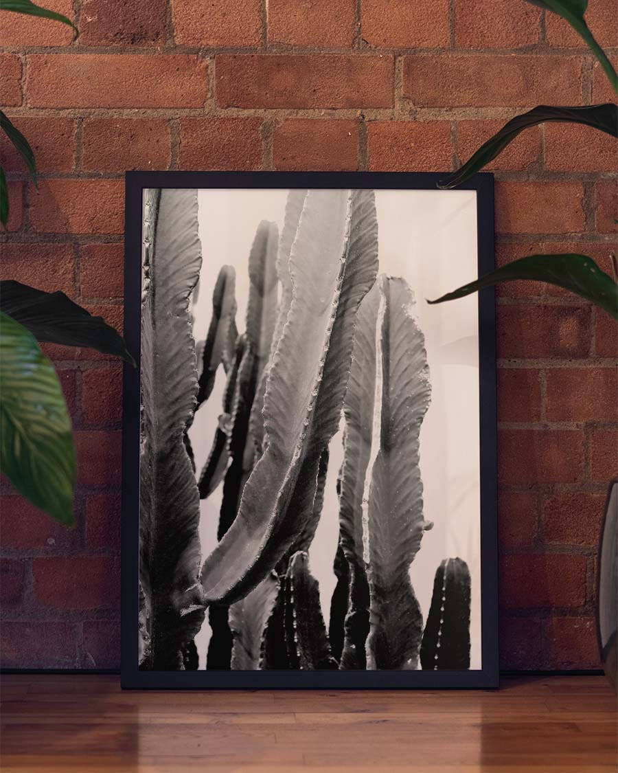 Schwarz Weiß Kaktus Poster – Black White Cactus