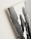 Schwarz Weiß Kaktus Poster – Black White Cactus