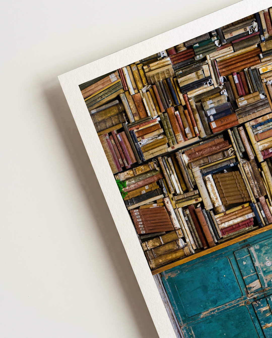 Books in shelves | Photography Poster