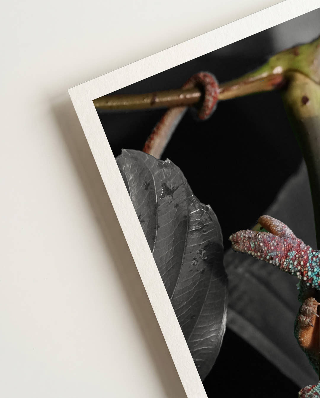 Camouflage error | Nature Photography Poster