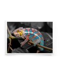 hideslider