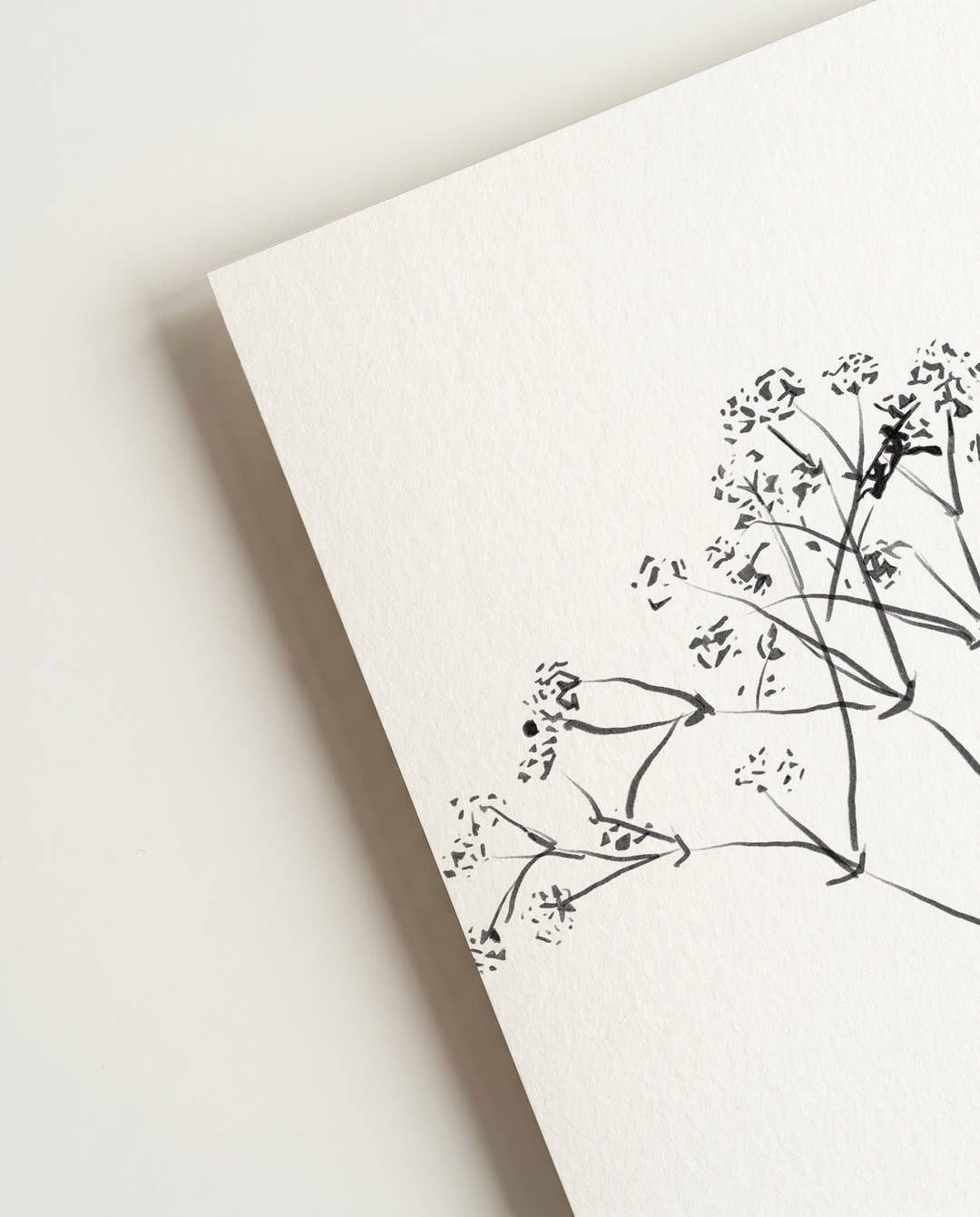 Zarte Botanische Linien Poster – Delicate Botanic Line