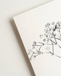 Zarte Botanische Linien Poster – Delicate Botanic Line