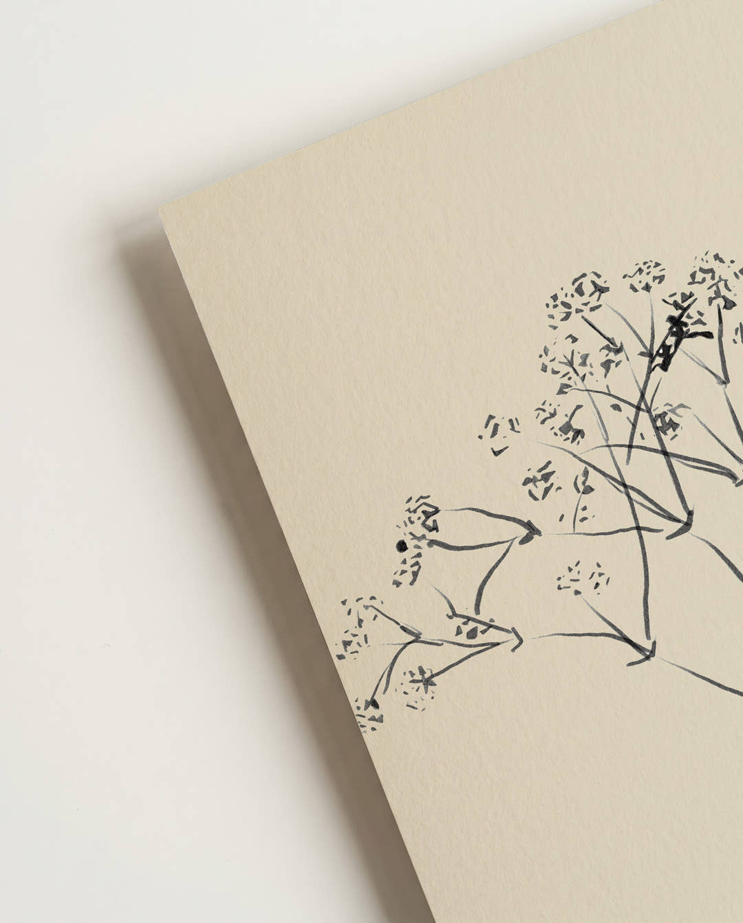 Zartes Botanisches Skizzen Poster – Delicate Botanic Sketch