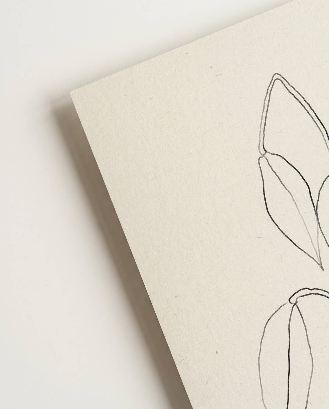 Zartes Botanik Poster – Delicate Botanic Sketch
