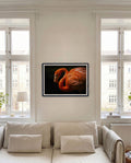 Flamingo Dream | Nature Photography Poster