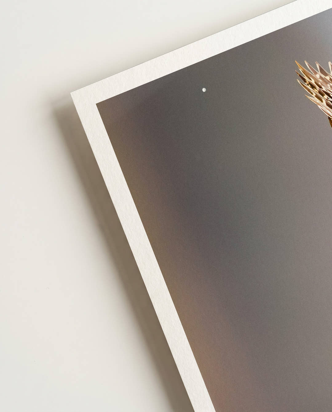 Flying Duck | Nature Photography Poster