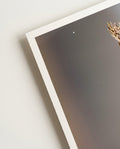 Flying Duck | Nature Photography Poster