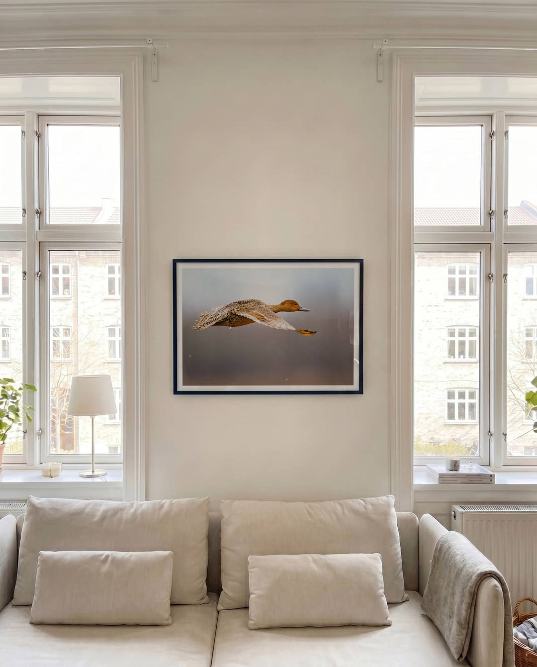 Flying Duck | Nature Photography Poster