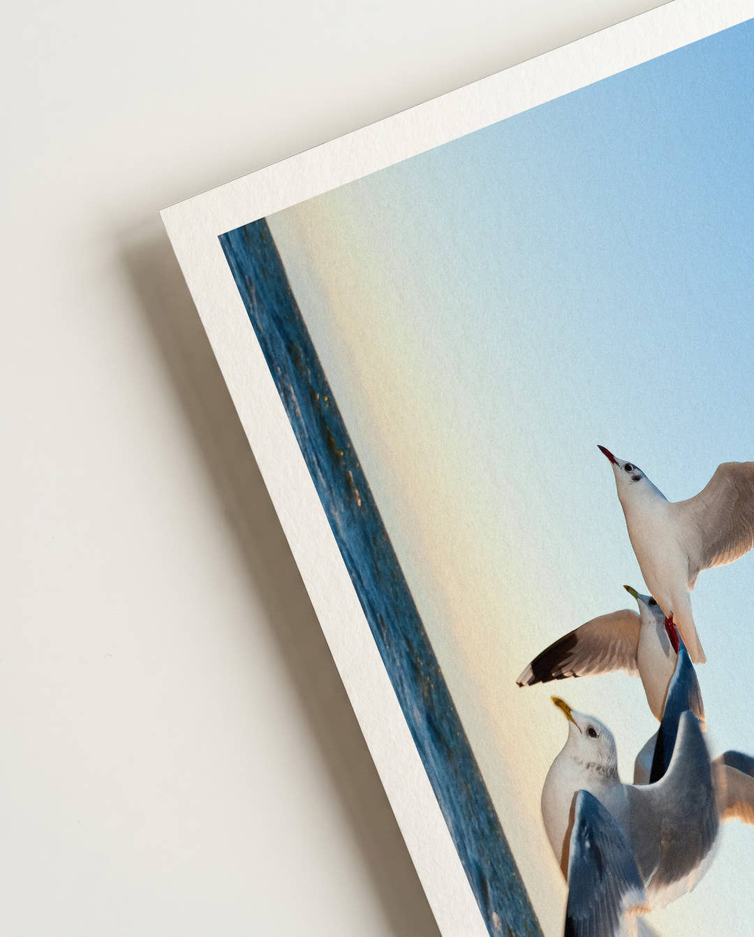 Flying | Nature Photography Poster