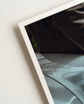 Frontlicht | Photography Poster