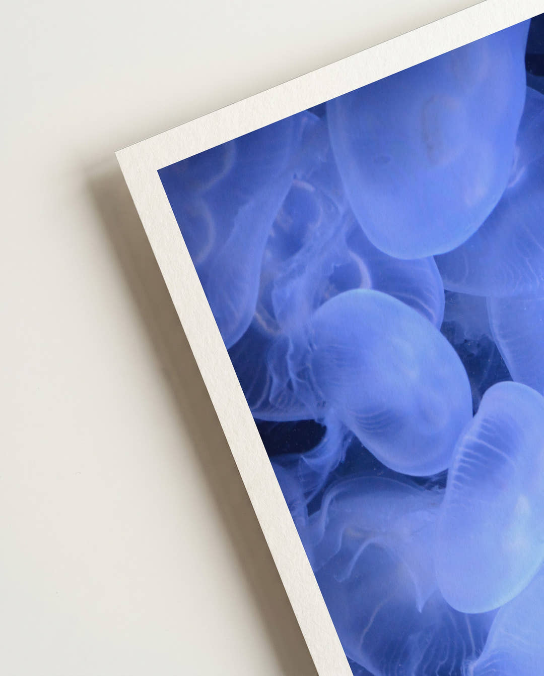 Glowing in the dark | Nature Photography Poster