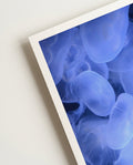 Glowing in the dark | Nature Photography Poster