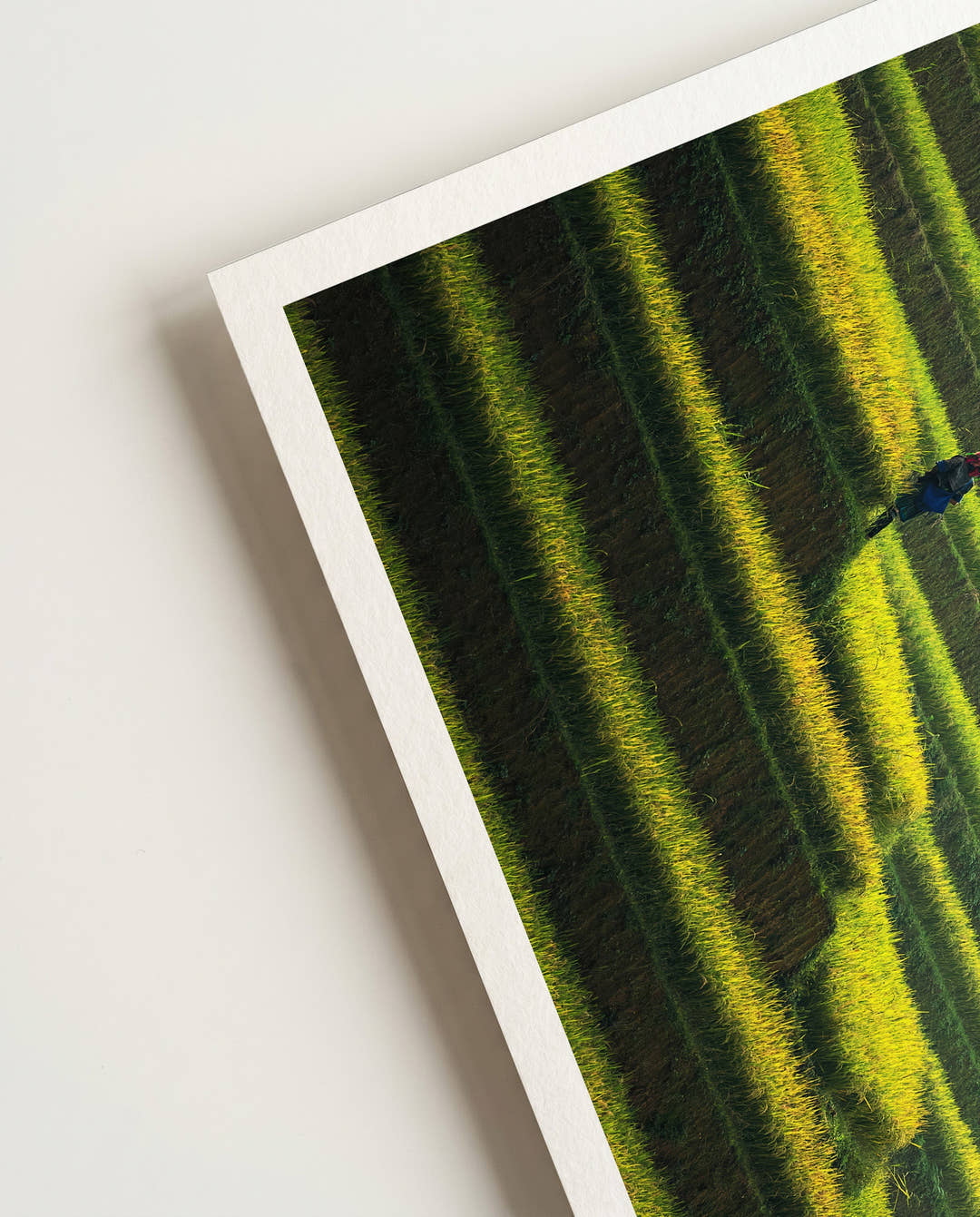 Green steps | Nature Photography Poster