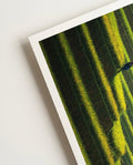 Green steps | Nature Photography Poster