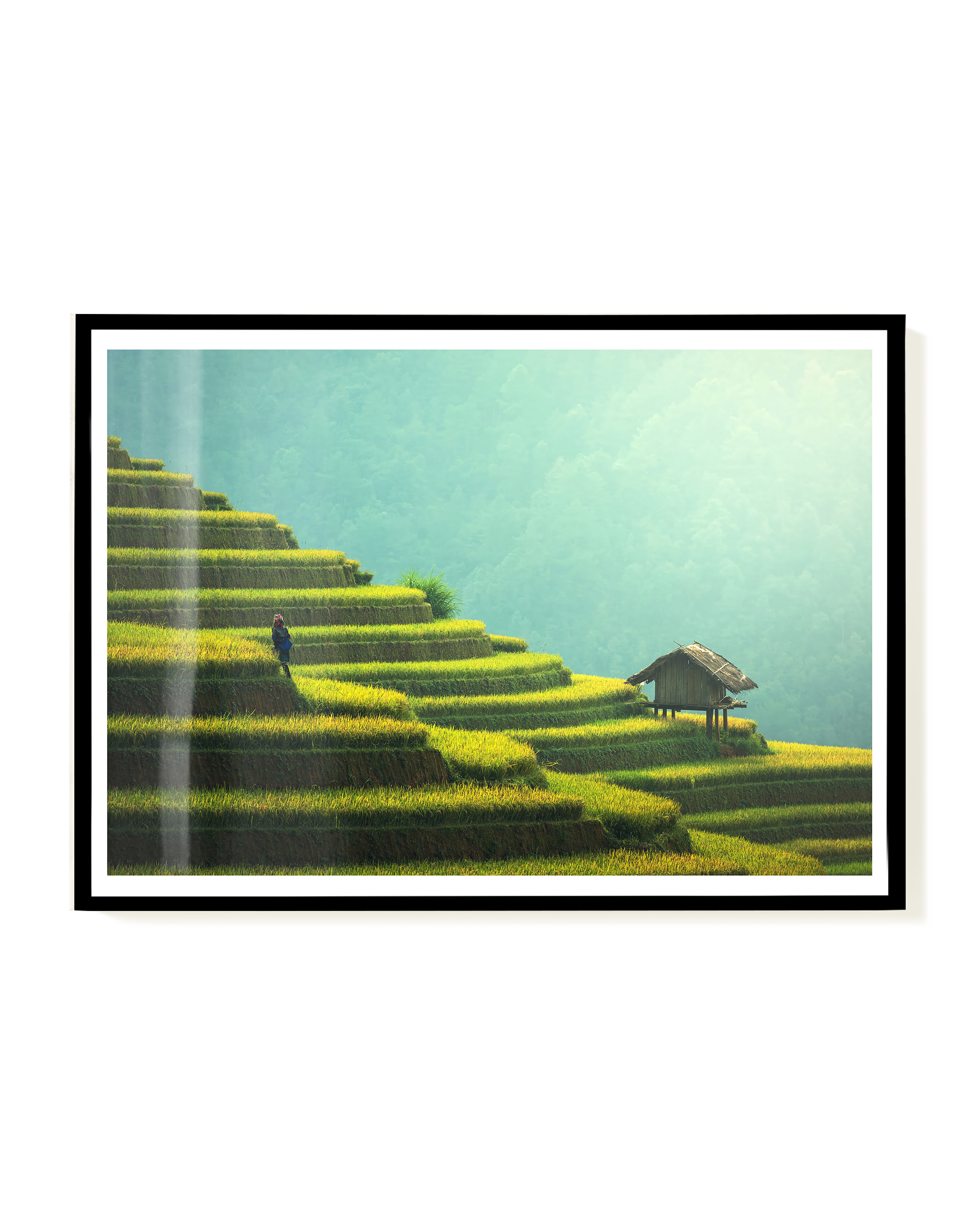 Green Steps | Nature Photography Poster – Wallera®