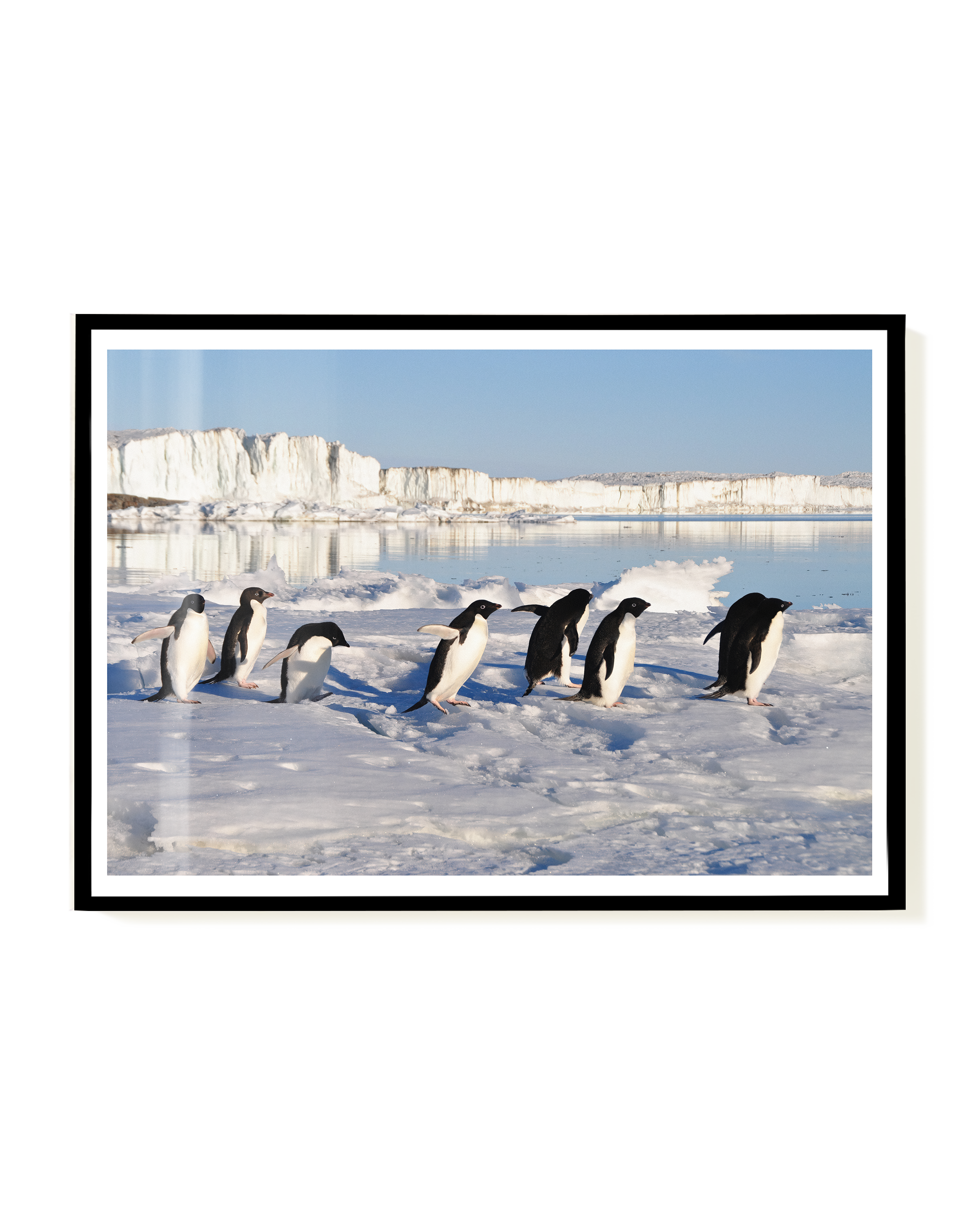 Ice | Nature Photography Poster – Wallera®