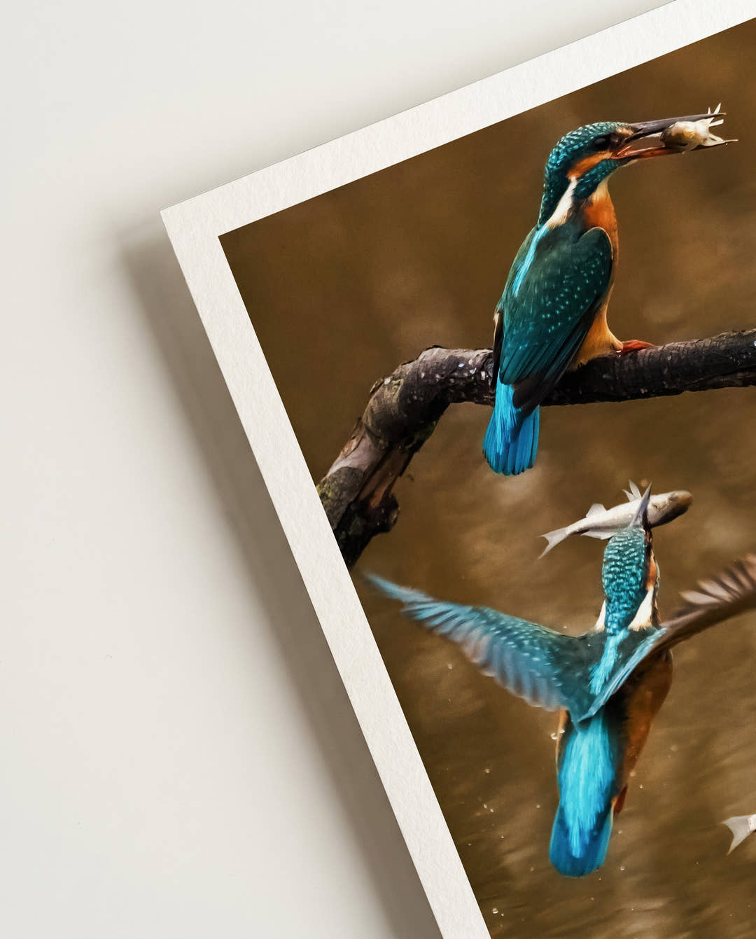 Kingfisher No 2 | Nature Photography Poster