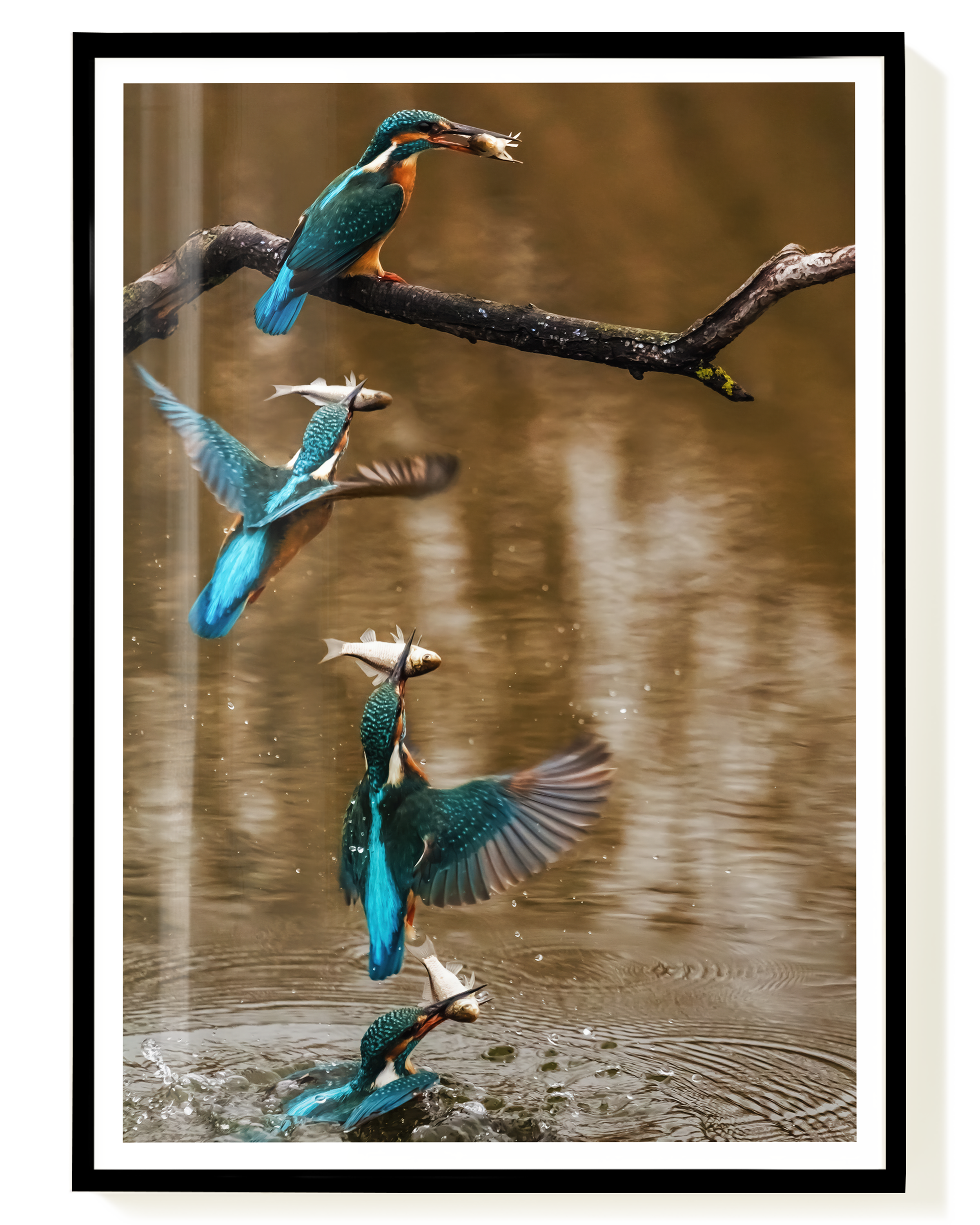Kingfisher No2 | Nature Photography Poster – Wallera®