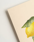 Lemon Branch Poster – Lemon Branch