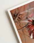 Lonely flower | Nature Photography Poster
