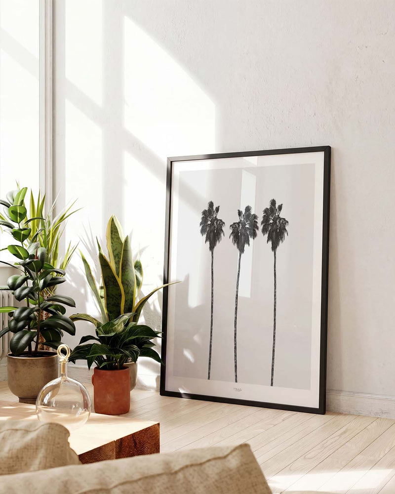 Minimal Palmen Poster – Minimal Palm Trees