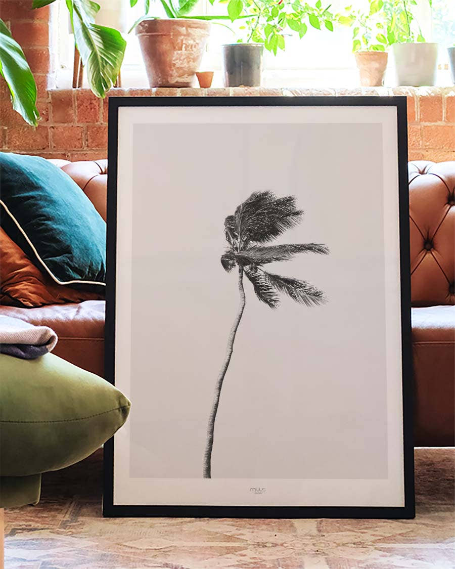 Minimal Windige Palme Poster – Minimal Windy Palm