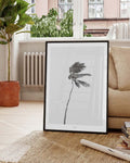 Minimal Windige Palme Poster – Minimal Windy Palm