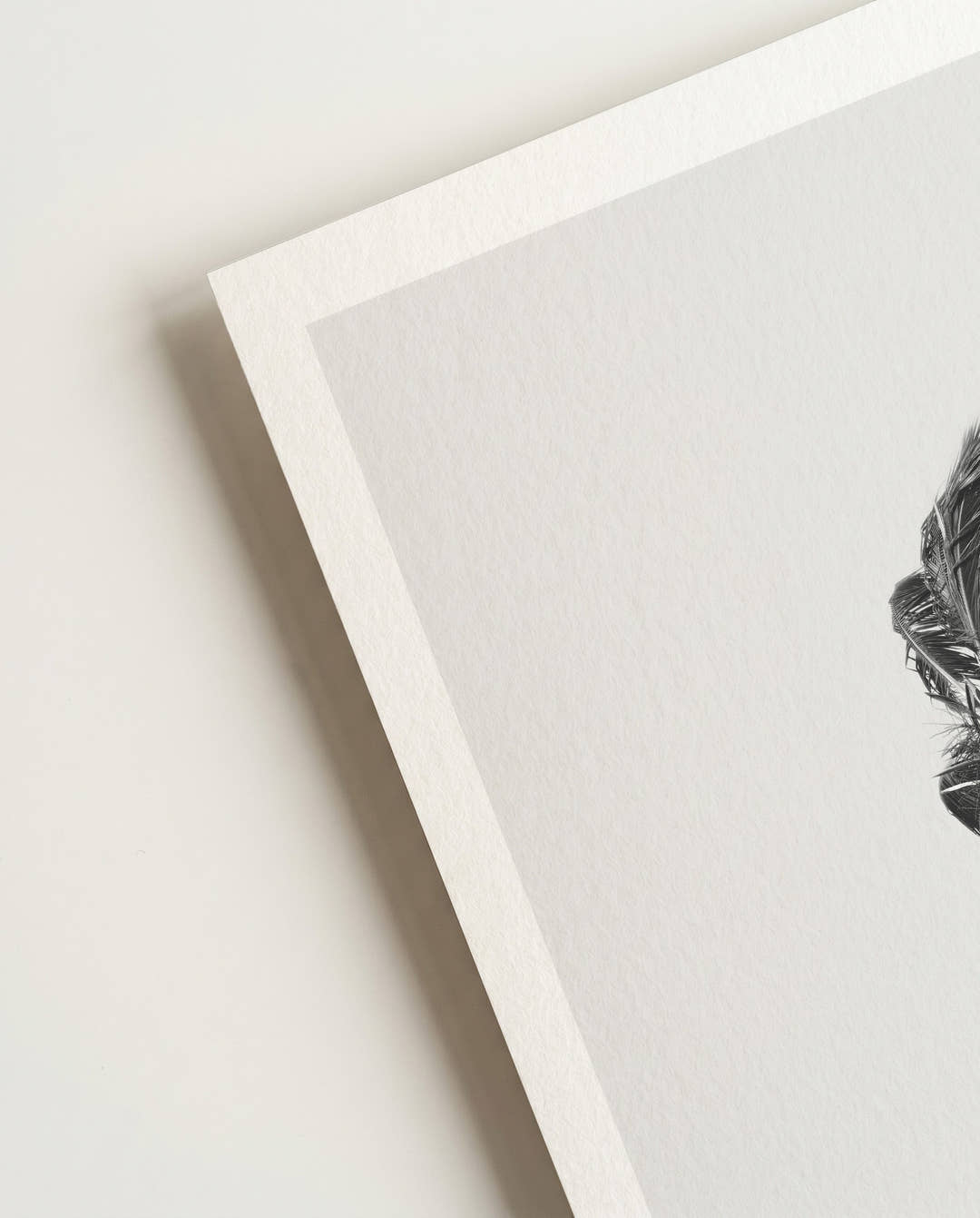 Minimal Windige Palme Poster – Minimal Windy Palm