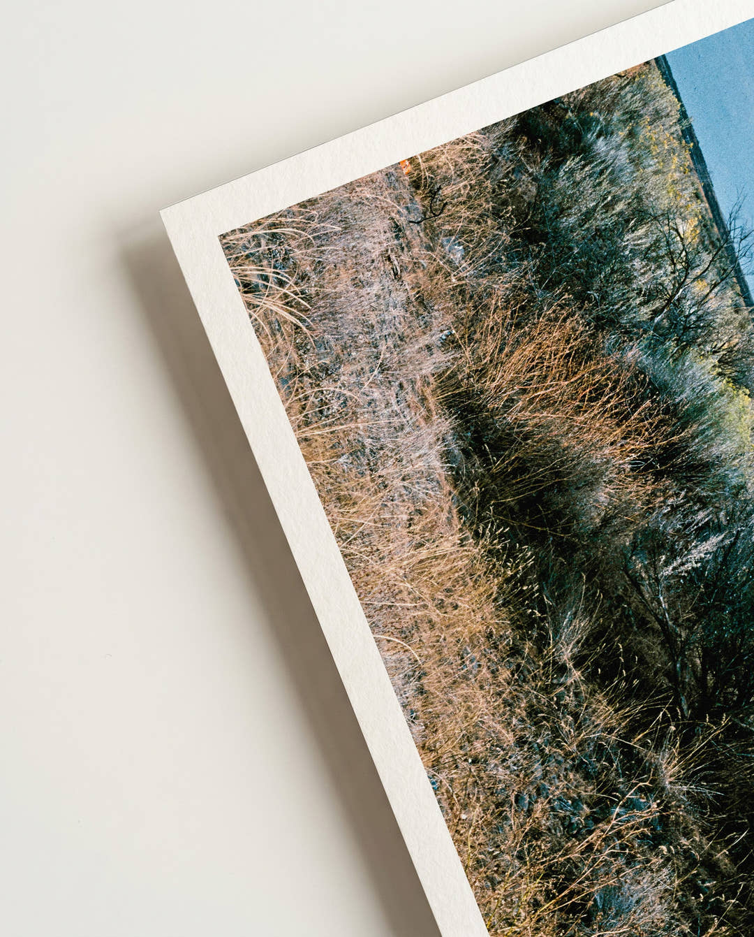 Motel | Photography Poster