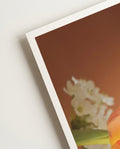 Orange flower | Nature Photography Poster