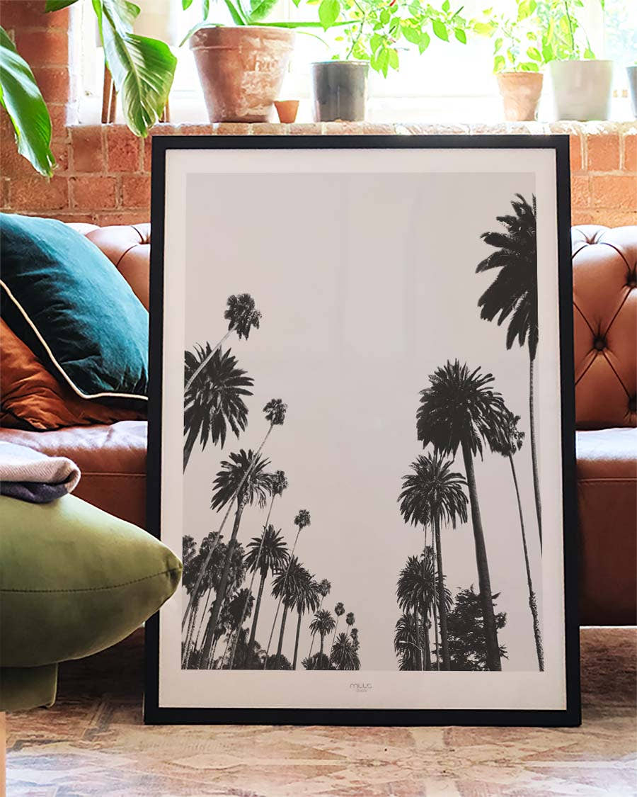 Palmen Himmel Poster – Palm Trees Sky View