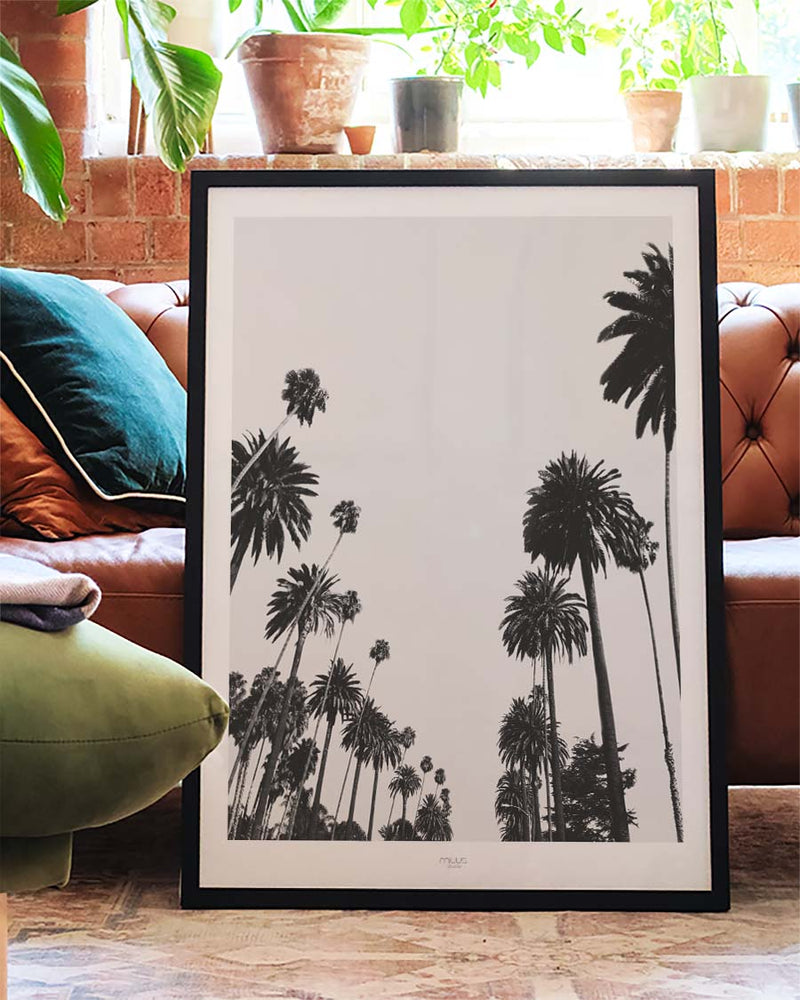 Palmen Himmel Poster – Palm Trees Sky View
