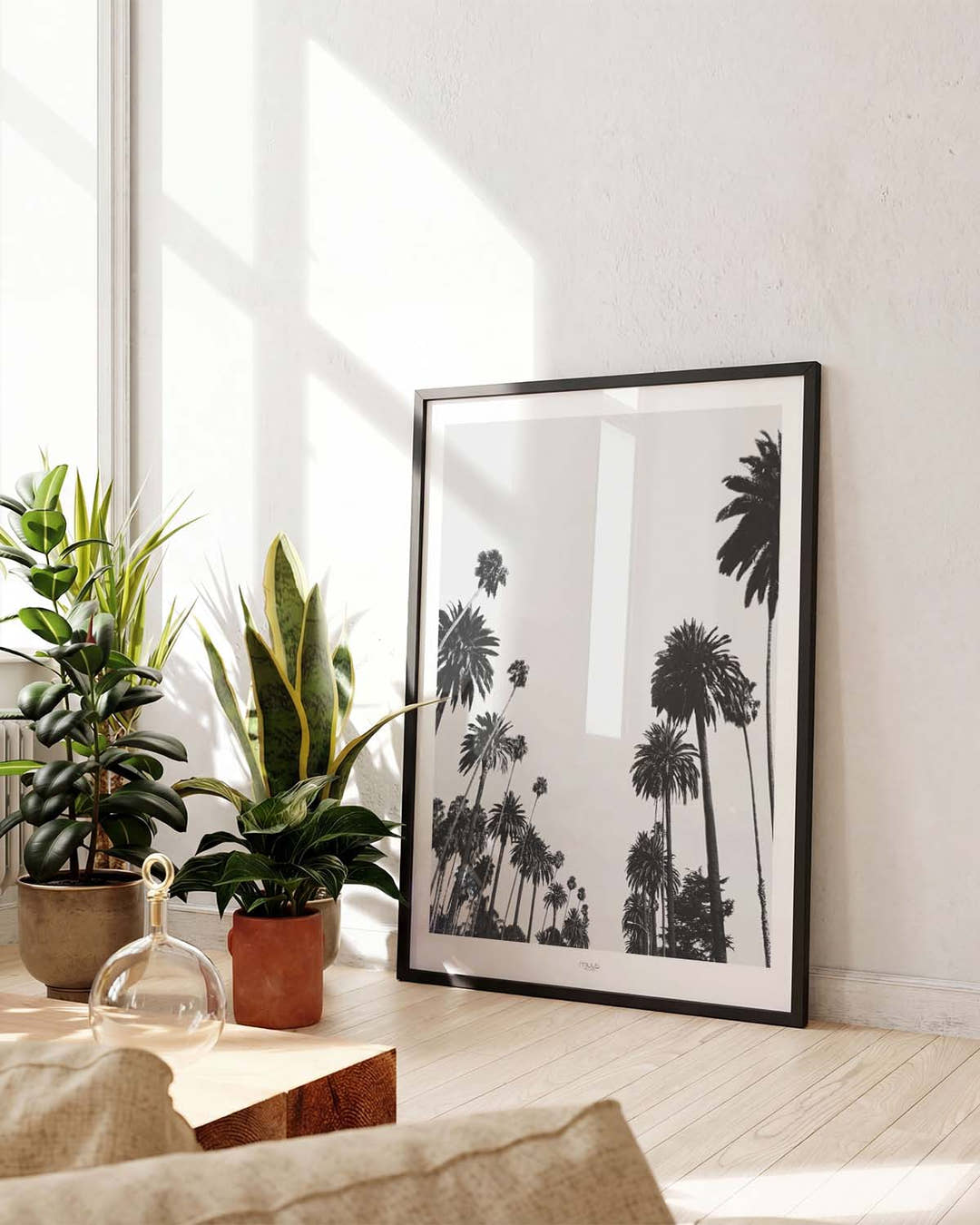 Palmen Himmel Poster – Palm Trees Sky View