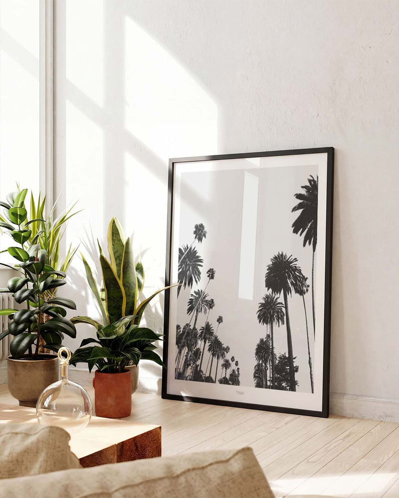 Palmen Himmel Poster – Palm Trees Sky View