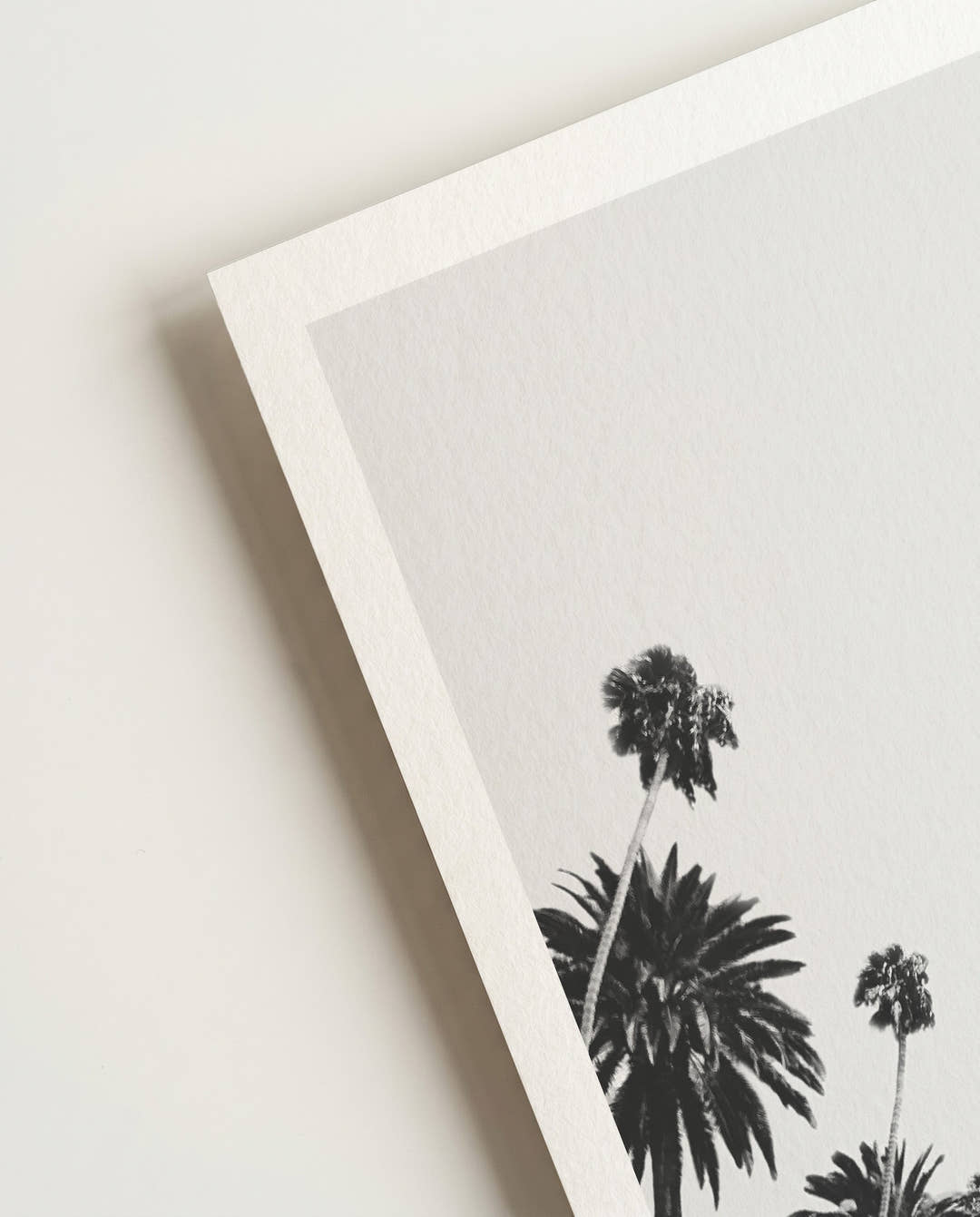 Palmen Himmel Poster – Palm Trees Sky View