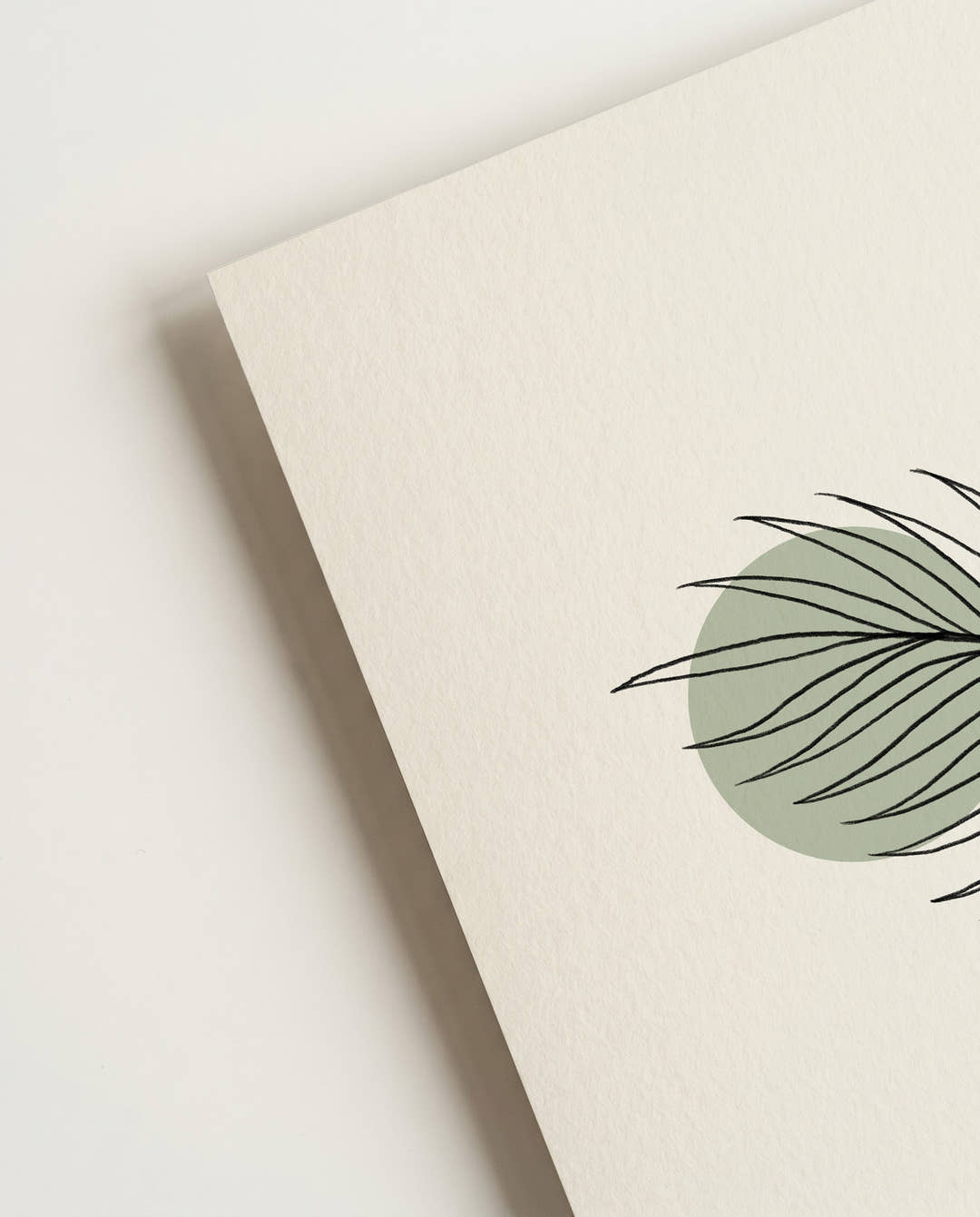 Palmblatt Dekorationsposter – Palm Frond