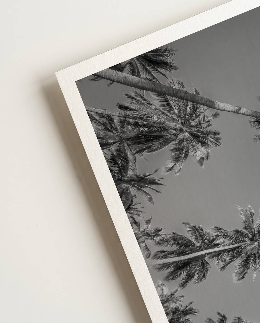Palmes | Retro Photography Poster