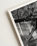 Panda | Nature Photography Poster