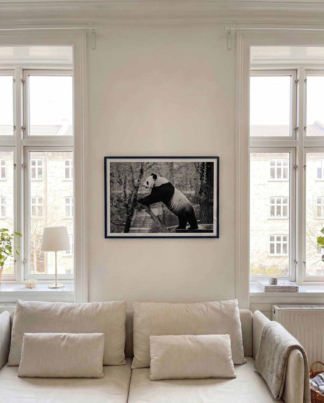 Panda | Nature Photography Poster