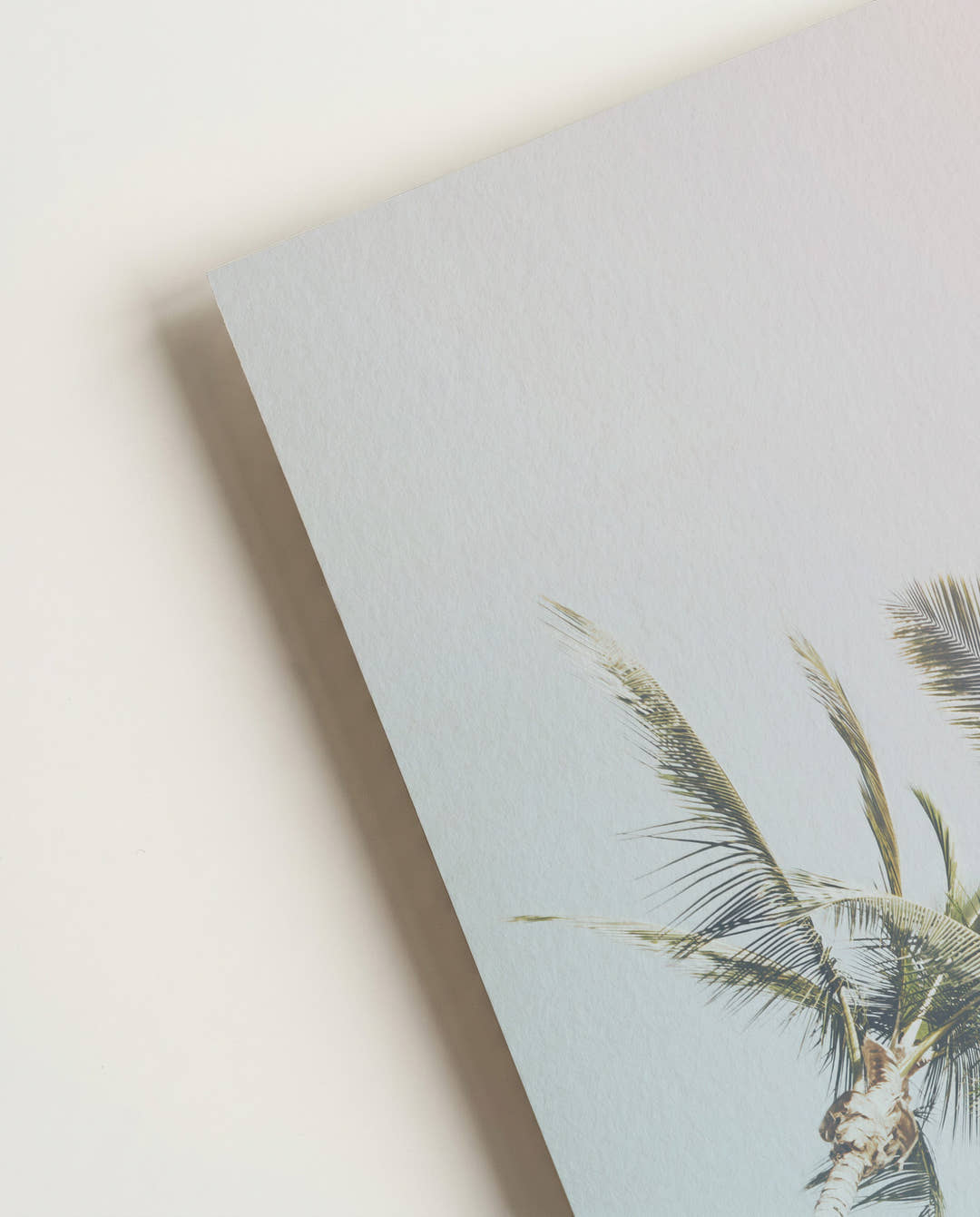 Pastell Palmen Poster – Pastel Palm Dream