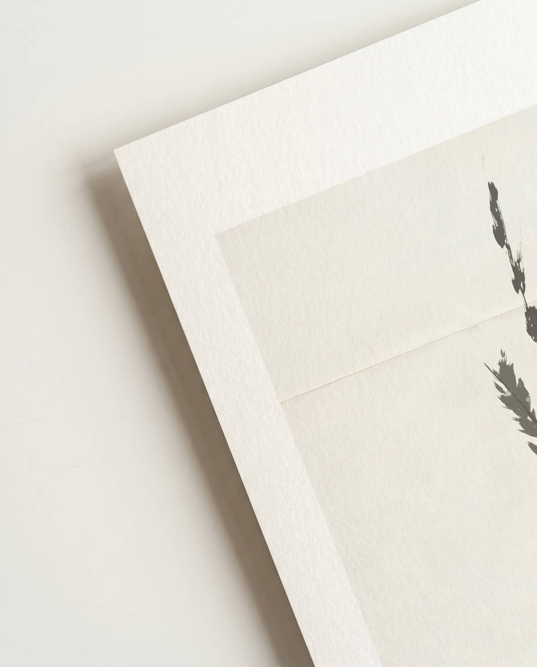 Zartes Botanik Poster – Soft Botanic Minimal