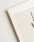 Zartes Botanik Poster – Soft Botanic Minimal